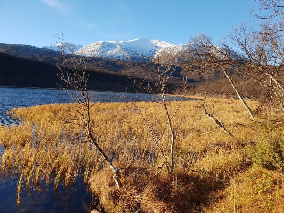 Traditional Farm House Located Close To Fjord Lyngseidet Екстериор снимка